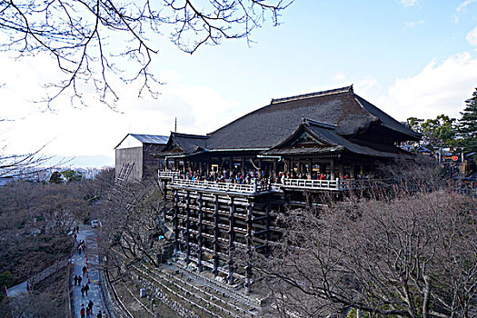 在哪里可以买到听华水162-162863